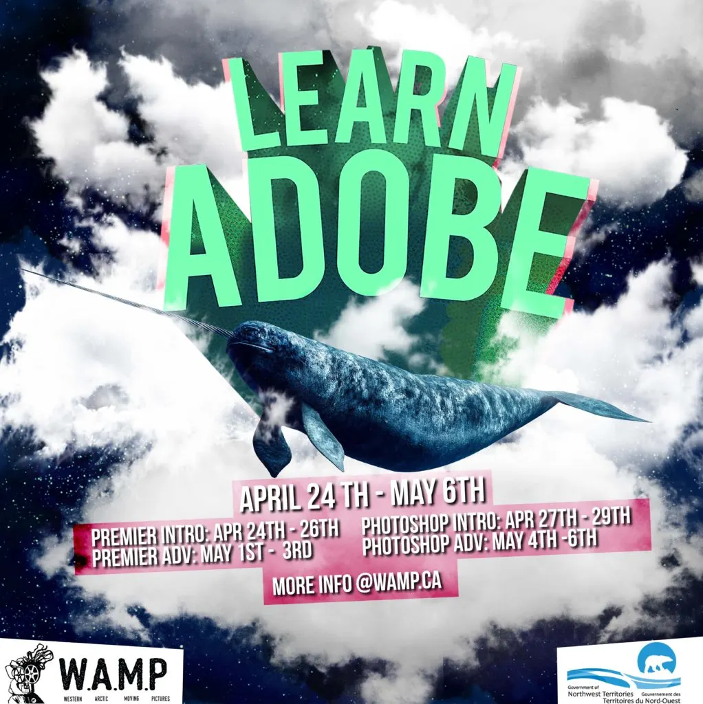 Learn Adobe 2017