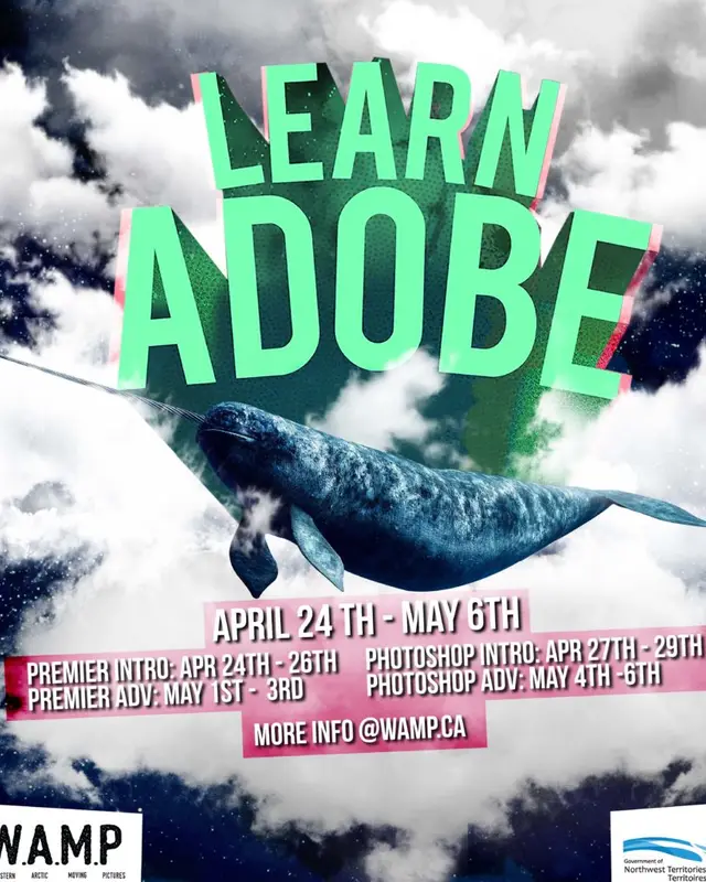Learn Adobe 2017