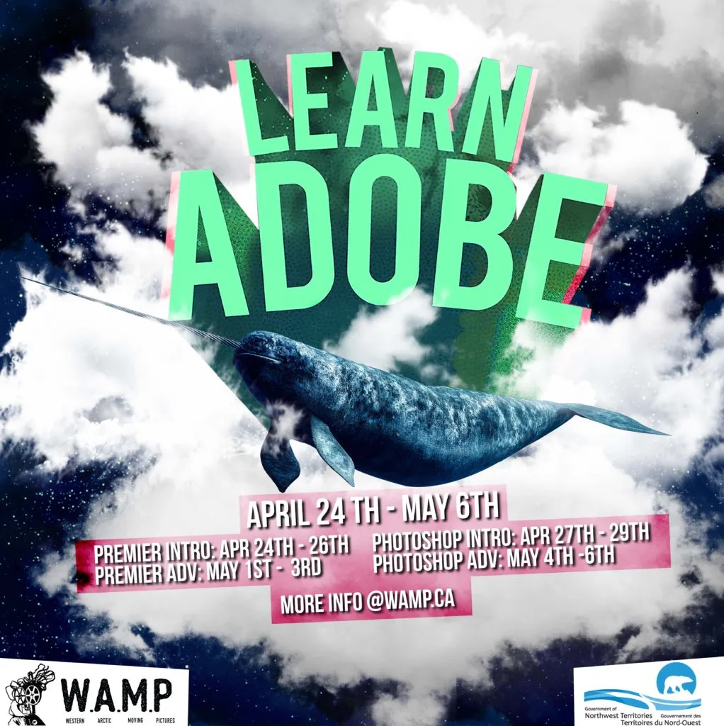 Learn Adobe 2017